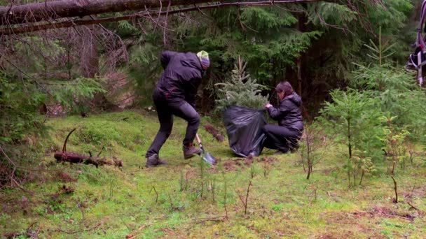 Människor Planterar Julgran Efter Semestern Skogen — Stockvideo
