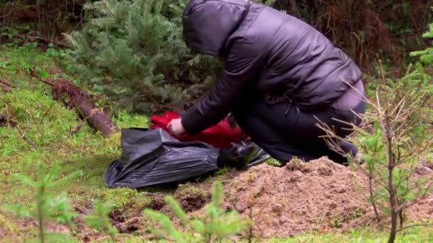 Människor Planterar Julgran Efter Semestern Skogen — Stockvideo
