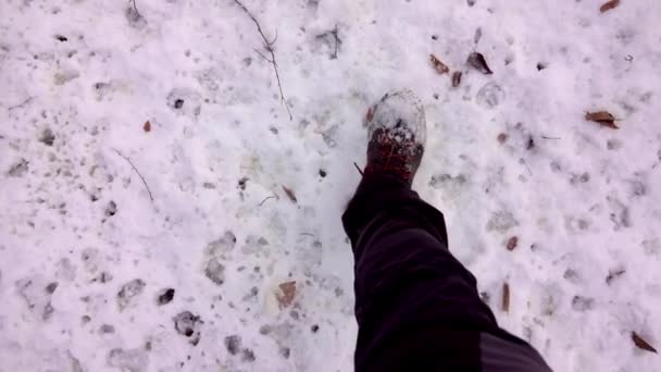 Osoba Pov Nogi Brązowych Butach Śniegu Śnieg Butach Podczas Spaceru — Wideo stockowe