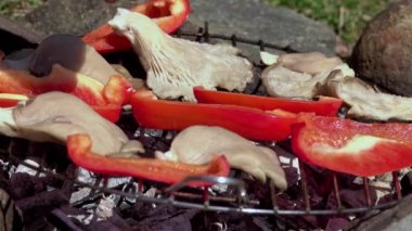 Izgara sebze. Yürüyüşte vejetaryen yemeği.