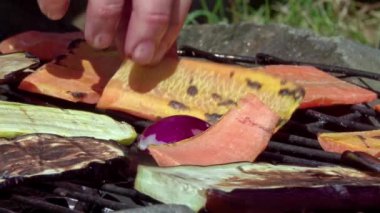 Izgara sebze. Yürüyüşte vejetaryen yemeği.