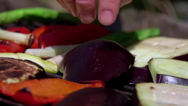 Grillezett Zöldség Vegetáriánus Étel Túrázás Közben — Stock videók