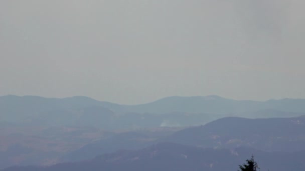 Дим Вогонь Гірському Лісі Стихійні Лиха — стокове відео