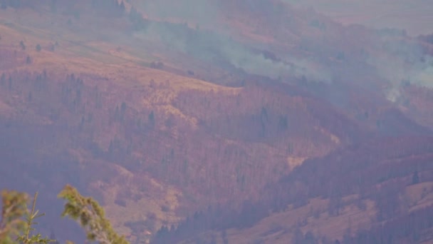 煙と山の森の中で火災 自然災害 — ストック動画