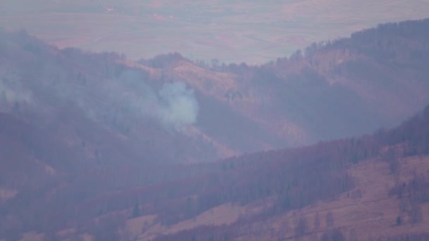 Humo Fuego Bosque Montañoso Desastre Natural — Vídeos de Stock