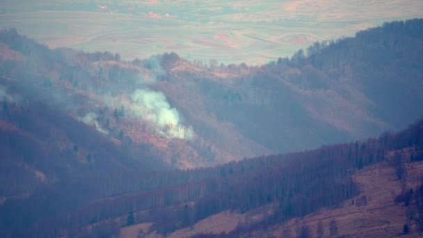 Дым Огонь Горном Лесу Стихийные Бедствия — стоковое видео