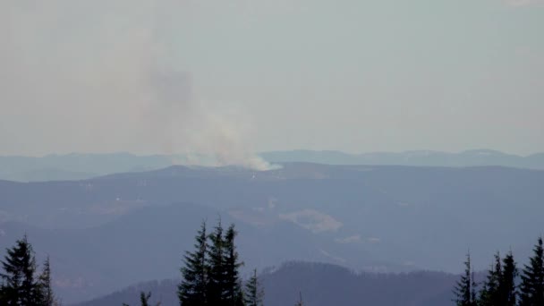 Humo Fuego Bosque Montañoso Desastre Natural — Vídeo de stock