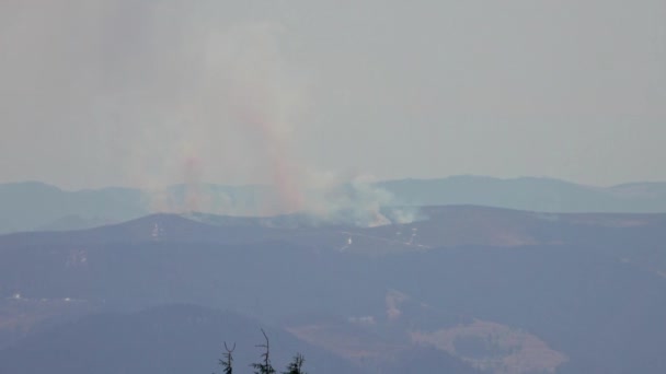 Fumaça Fogo Floresta Montanha Desastre Natural — Vídeo de Stock