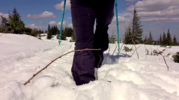 徒步旅行者在山岭上行走 覆盖着厚厚的积雪 冬日阳光明媚 云彩飘扬 — 图库视频影像