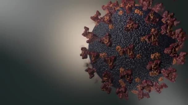 Virus Und Keime Bakterien Zellinfizierter Organismus Influenza Virus H1N1 Schweinegrippe — Stockvideo