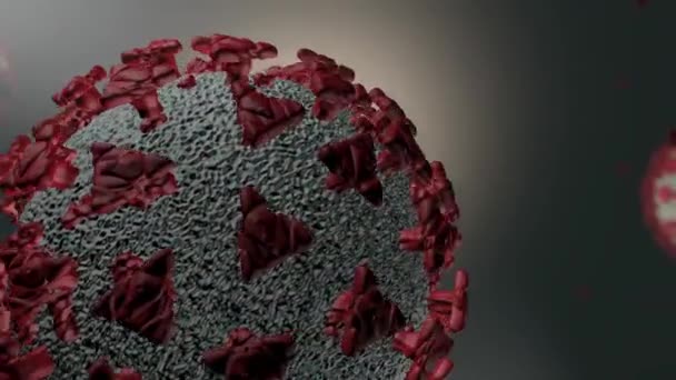 Virus Germes Bactéries Organismes Infectés Par Des Cellules Virus Grippal — Video