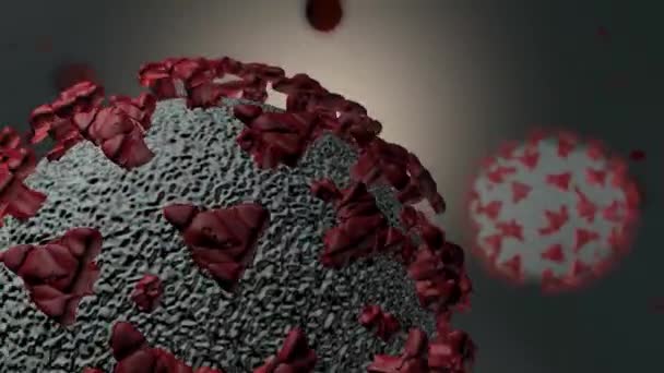 Vírus Baktériumok Baktériumok Sejtfertőzött Organizmus H1N1 Influenzavírus Sertésinfluenza Corona Covid — Stock videók