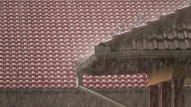 Heavy Rain Pouring Building Roof — Vídeo de Stock