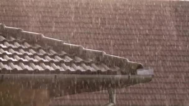 大雨倾泻在建筑物的屋顶上 — 图库视频影像