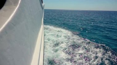 Denizdeki sürat teknesi. Denize giden karavanın önünde. Seyahat ve tatil konsepti. Tatildeyken deniz hayatı.