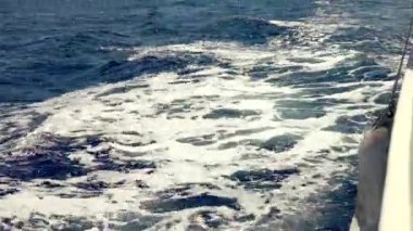 Denizdeki sürat teknesi. Denize giden karavanın önünde. Seyahat ve tatil konsepti. Tatildeyken deniz hayatı.
