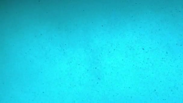 Okénko Kajutě Jachty Pod Vodou Pluje Plnou Rychlostí Podvodní Pohled — Stock video