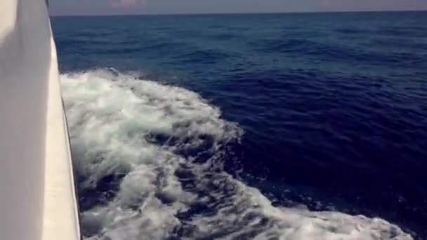 Motoscafo Sul Mare Fronte Laterale Dello Yacht Motore Che Mare — Video Stock