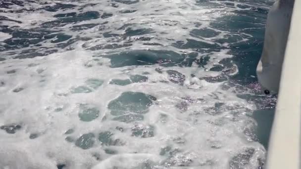 Una Lancha Mar Frente Lateral Del Yate Motor Que Mar — Vídeos de Stock