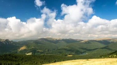 ormanıyla çevrili dağ gölü