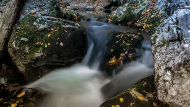 Source intermittente avec ruisseau d'eau le matin — Video