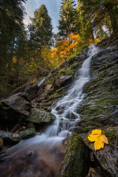 Sonbahar ormanında şelale — Stok fotoğraf