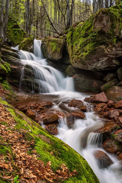 Waterfall in spring forest — Stock Photo, Image
