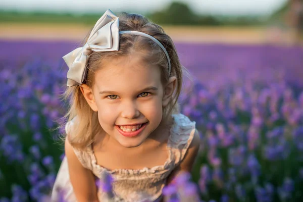 Het meisje van lavendel — Stockfoto