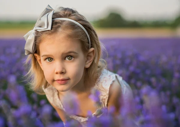 Levandule dívka — Stock fotografie