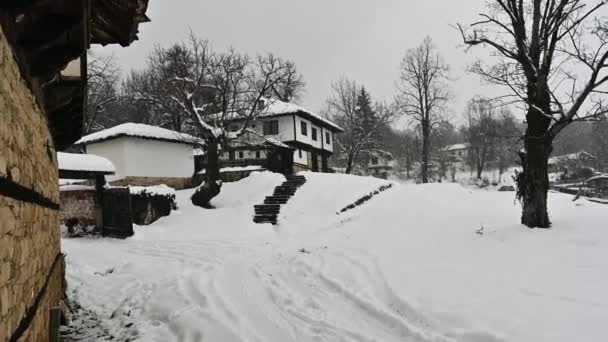 Video Calma Mañana Invierno Con Nieve Cayendo Sobre Las Hermosas — Vídeo de stock