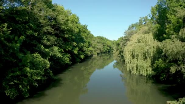 Drohnenflug Entlang Eines Flusses Umgeben Von Dichtem Grünen Wald Kamtschija — Stockvideo