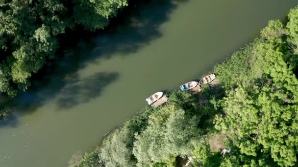 Sebuah Penerbangan Drone Atas Hutan Hijau Tebal Dan Sungai Mengalir — Stok Video