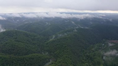 İHA uçuşu yeşil dağ yamaçlarında üzerlerinde sürünen bahar sisleri, Strandzha Dağı, Bulgaristan