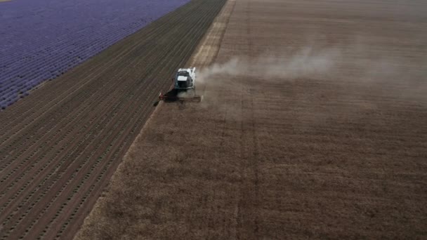 保加利亚瓦尔纳 2020年6月28日 联合收割麦田的空中景观 — 图库视频影像