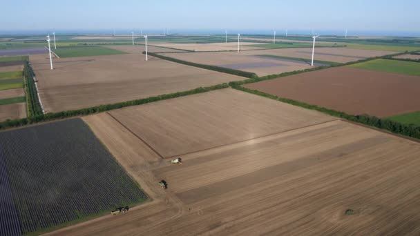 Varna Bulgarije Juni 2020 Luchtfoto Van Gecombineerde Oogsttarwe Het Veld — Stockvideo