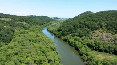 Yoğun yeşil ormanlarla çevrili bir nehrin üzerinde insansız hava aracı uçuşu. Bulgaristan 'daki Ropotamo Doğal Rezervi' nin havadan görüşü.