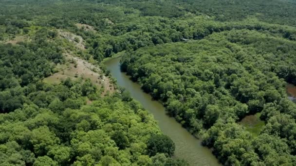 濃い緑の森に囲まれた川の上のドローン便 ブルガリアのロポタモ自然保護区の空中ビュー — ストック動画