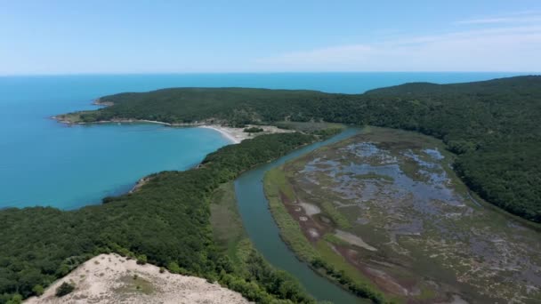 Voo Drone Acima Rio Que Passa Por Uma Densa Floresta — Vídeo de Stock