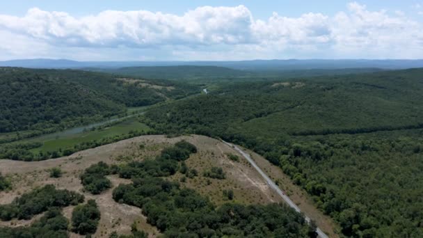 Drohnenflug Über Einem Fluss Der Einem Dichten Grünen Wald Einem — Stockvideo