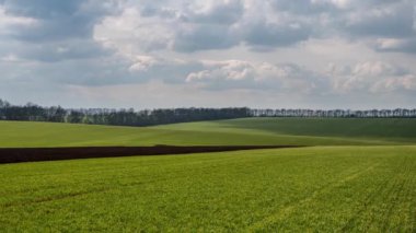 Yeşil bir yay tarlasında hızlı hareket eden bulutlarla zaman atlaması