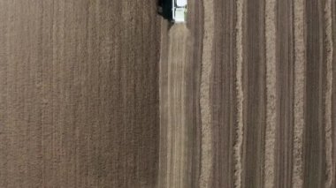 Tarlada buğday hasadını birleştiren hava manzarası. Tarım sahnesi.