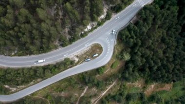Yeşil ormanın havadan görünüşü ve içinden geçen arabaların olduğu bir yol.