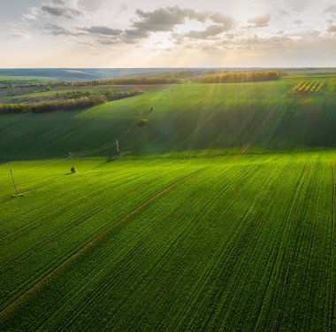 Aerial view of beautiful countryside with green rolling field in golden hour before sunset.	