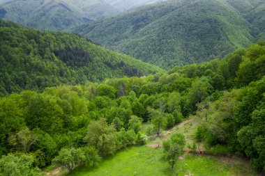 İlkbahar yeşil ormanları ve tepeleri yemyeşil bitki örtüsüyle kaplanmış ve Bulgaristan 'daki Balkan Dağları ile onların arasında küçük bir kulübe kurulmuş.