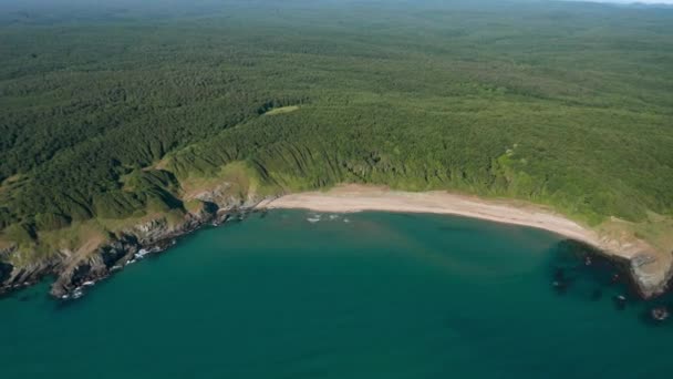 Vahşi Plajları Yeşil Ormanları Turkuaz Deniz Suları Olan Kayalık Bir — Stok video