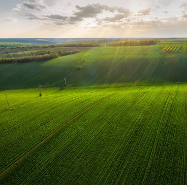 Aerial view of beautiful countryside with green rolling field in golden hour before sunset.	