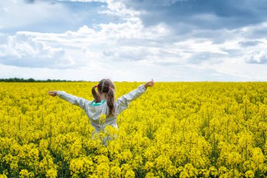Kolza tohumu tarlasında güzel bir kızın dikiz görüntüsü. Çiçek açan bir tarlada sarı çiçekli bir çocuk. 