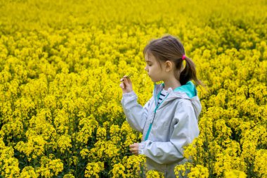Yakından kolza tohumu tarlasında güzel bir kız görünüyor. Çiçek açan bir tarlada sarı çiçekli bir çocuk. 