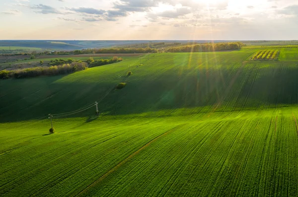 Aerial View Beautiful Countryside Green Rolling Field Golden Hour Sunset — Foto de Stock