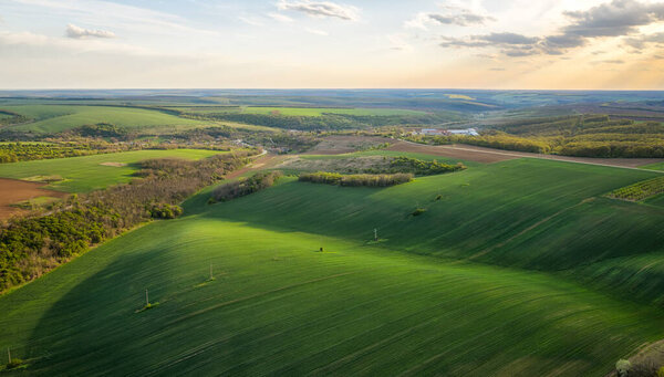 Aerial view of beautiful countryside with green rolling field in golden hour before sunset.